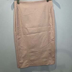 Elite Elegant Pink Women's Skirt